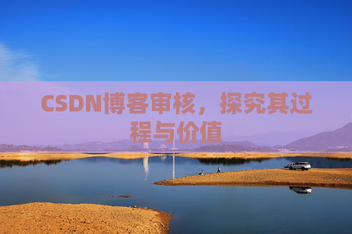 CSDN博客审核，探究其过程与价值